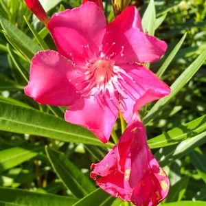 Meet your Posher, Cassandra